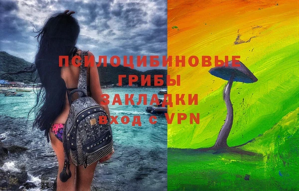 ГАЛЛЮЦИНОГЕННЫЕ ГРИБЫ Баксан