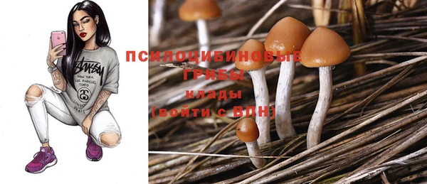 герыч Балахна
