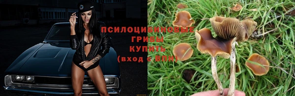 герыч Балахна